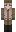 Xwriatikisalata Minecraft Skin