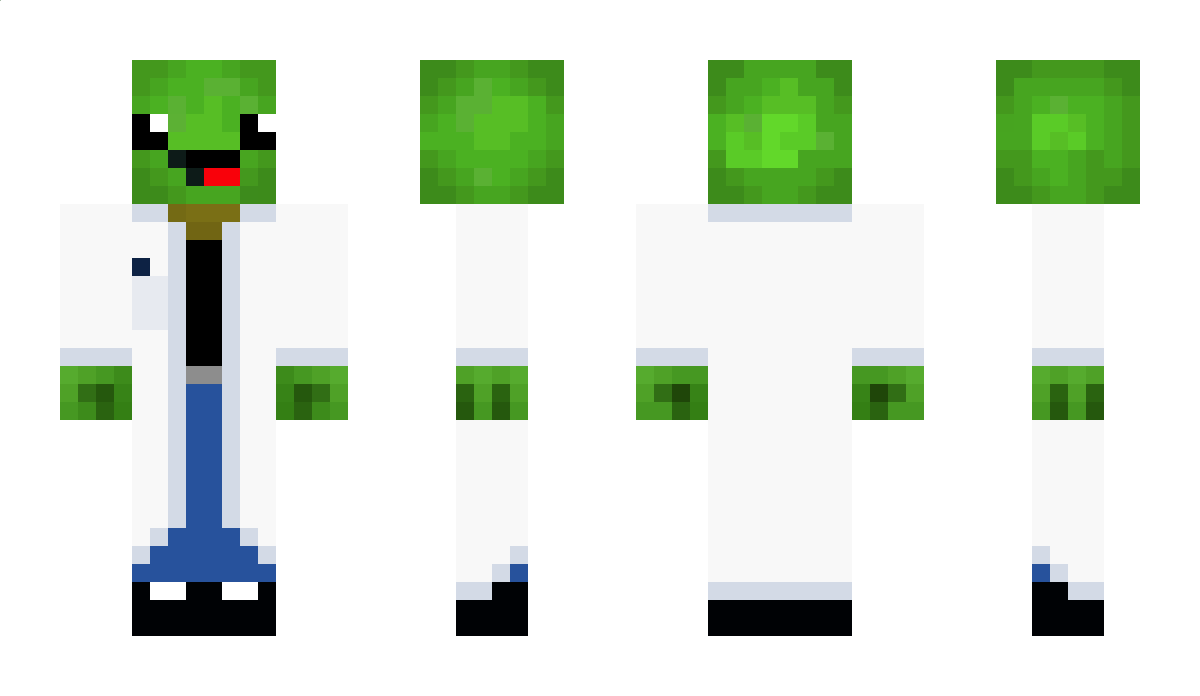 TurtleGuy09 Minecraft Skin