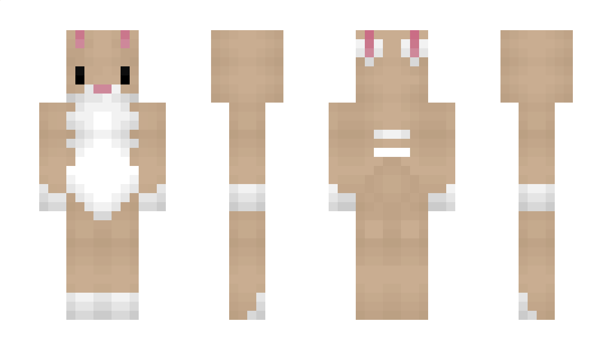 NebTR Minecraft Skin