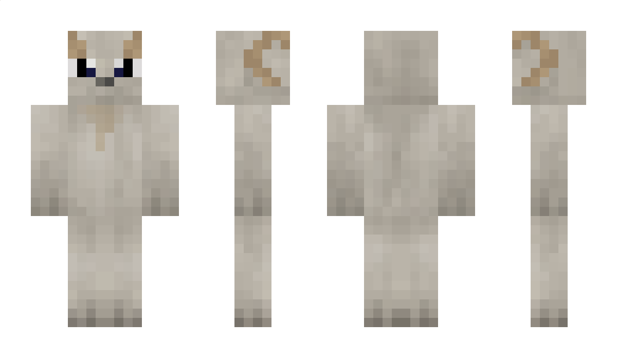 pasghetti Minecraft Skin