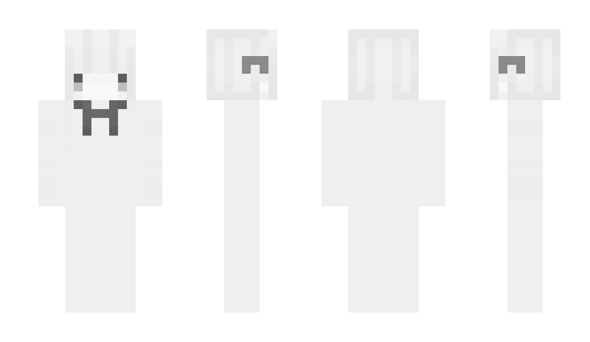 zwxs_ Minecraft Skin