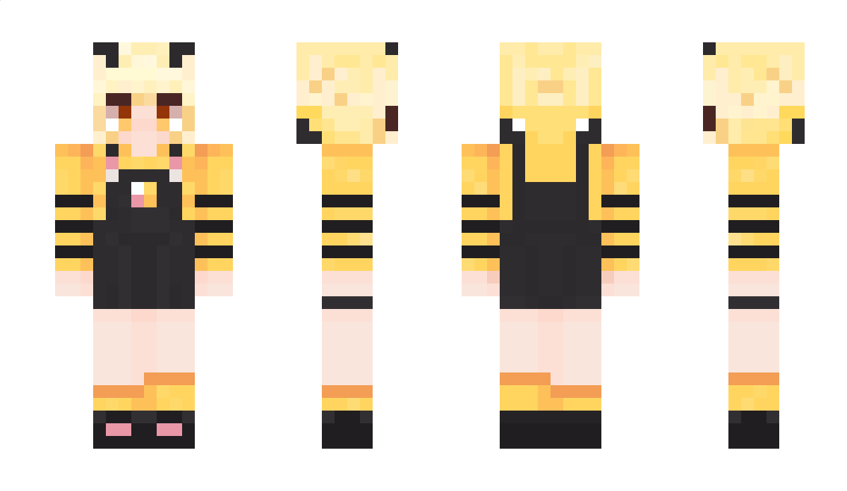 Merochibee Minecraft Skin