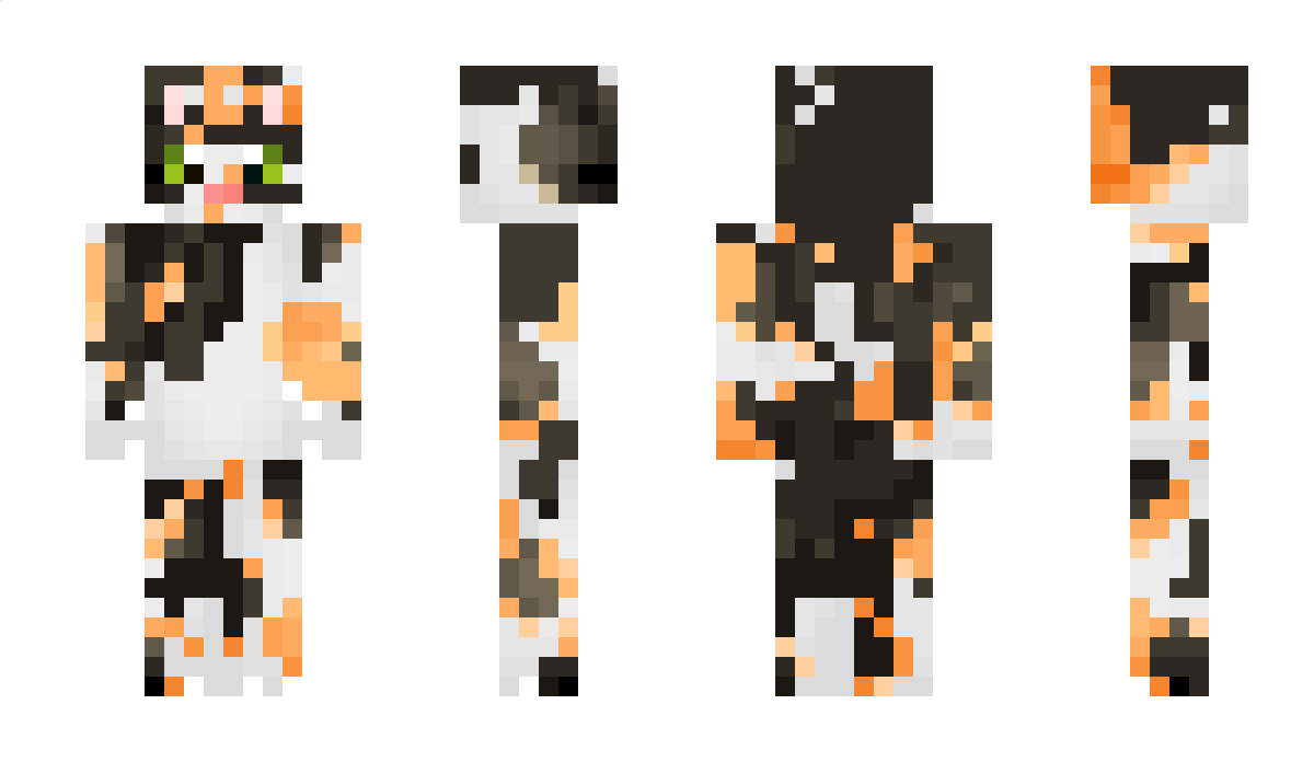 woyzp Minecraft Skin