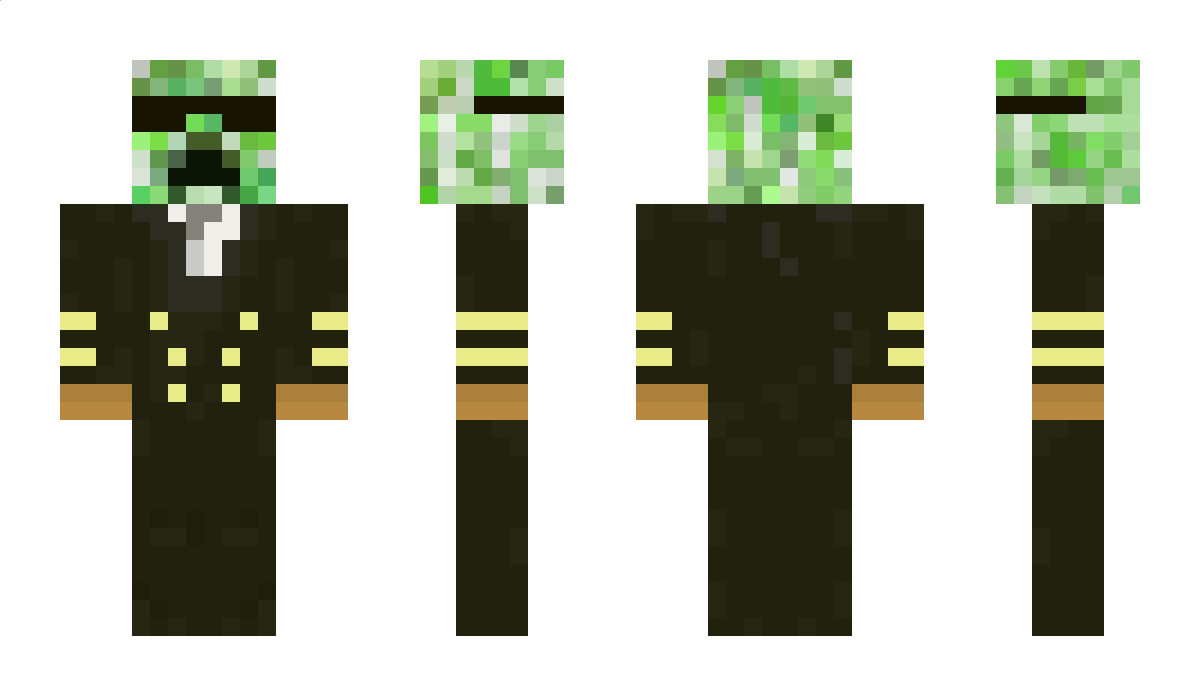 creepee998 Minecraft Skin