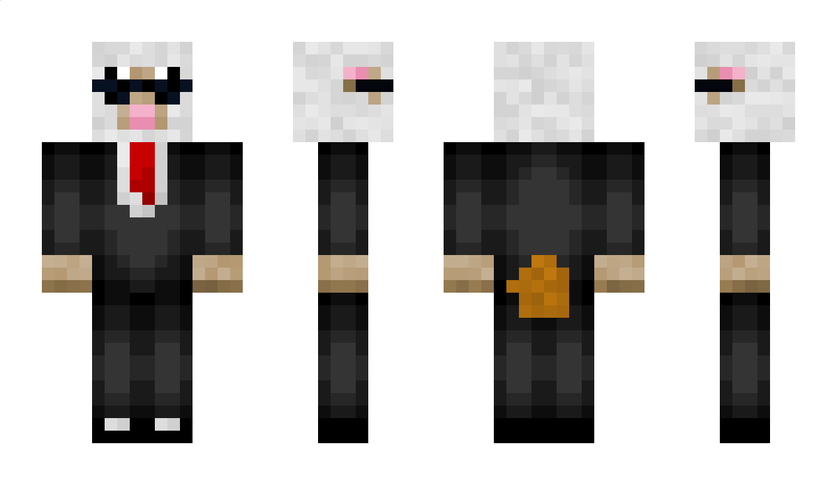 sheepking3000 Minecraft Skin