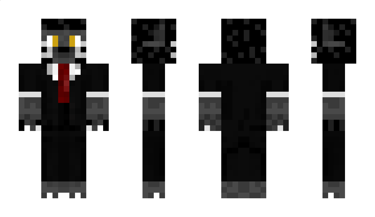 WireCat Minecraft Skin