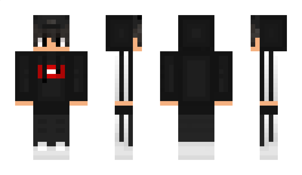 Rittergans Minecraft Skin