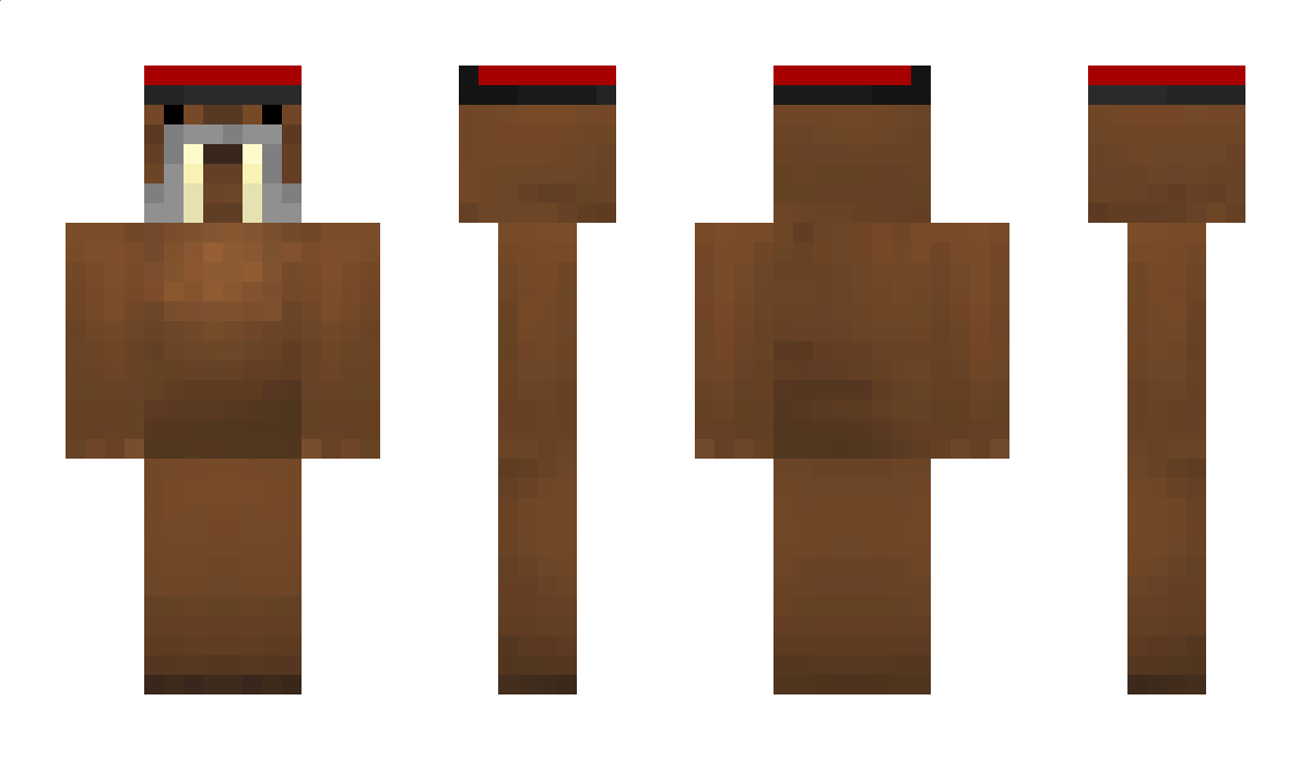 MisterLee Minecraft Skin