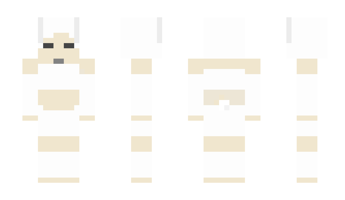 Ninjajoe21 Minecraft Skin