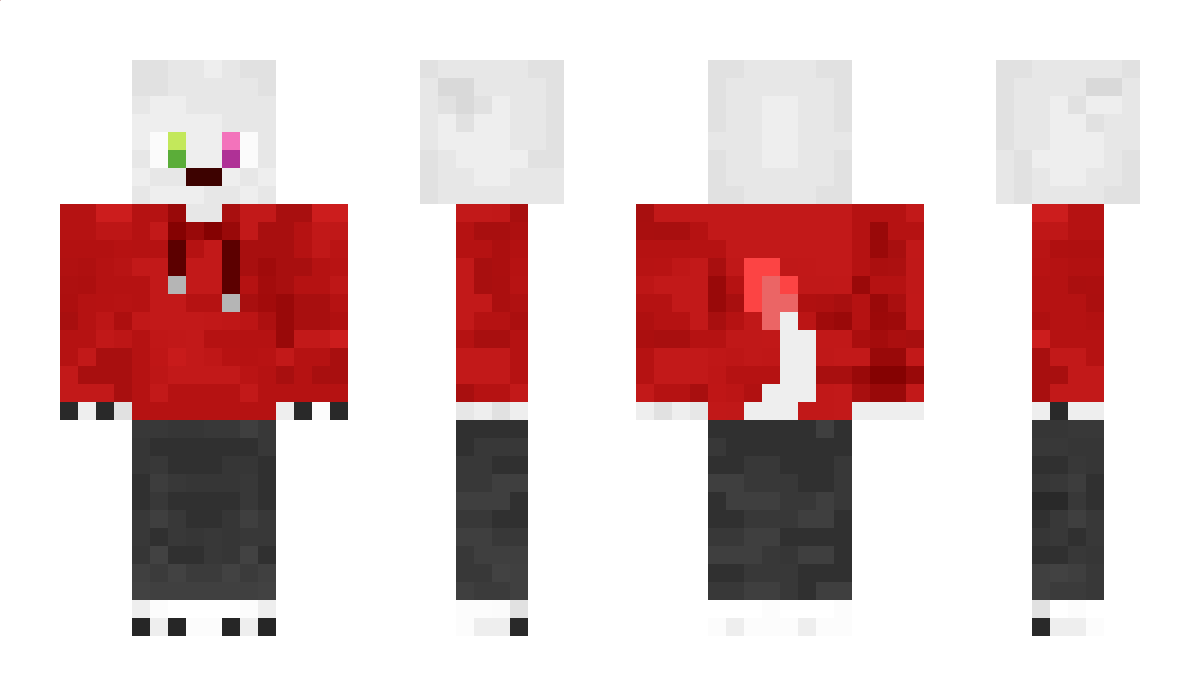 Robor134 Minecraft Skin