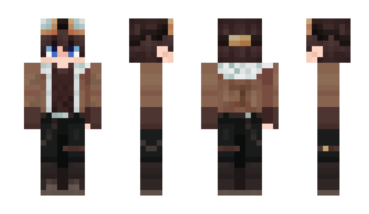 Pokeradio Minecraft Skin