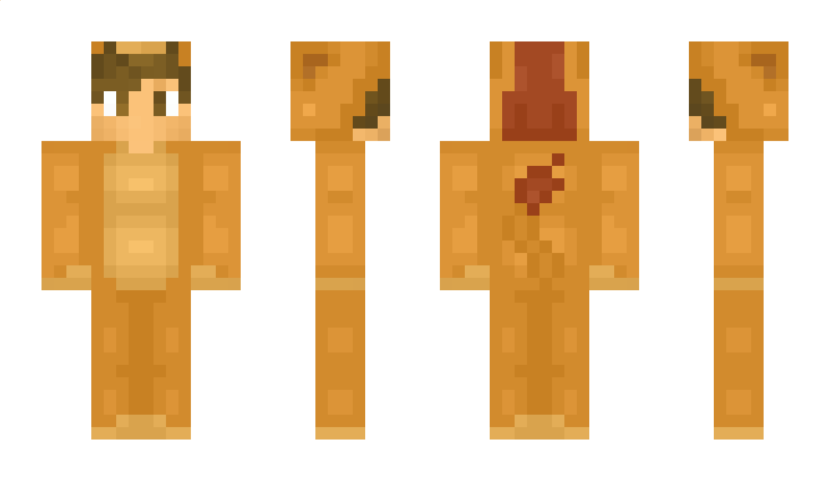 Societe Minecraft Skin