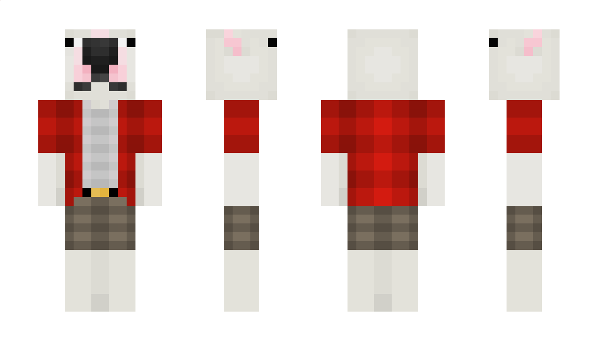 Epave Minecraft Skin