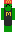 BengalBoy100 Minecraft Skin