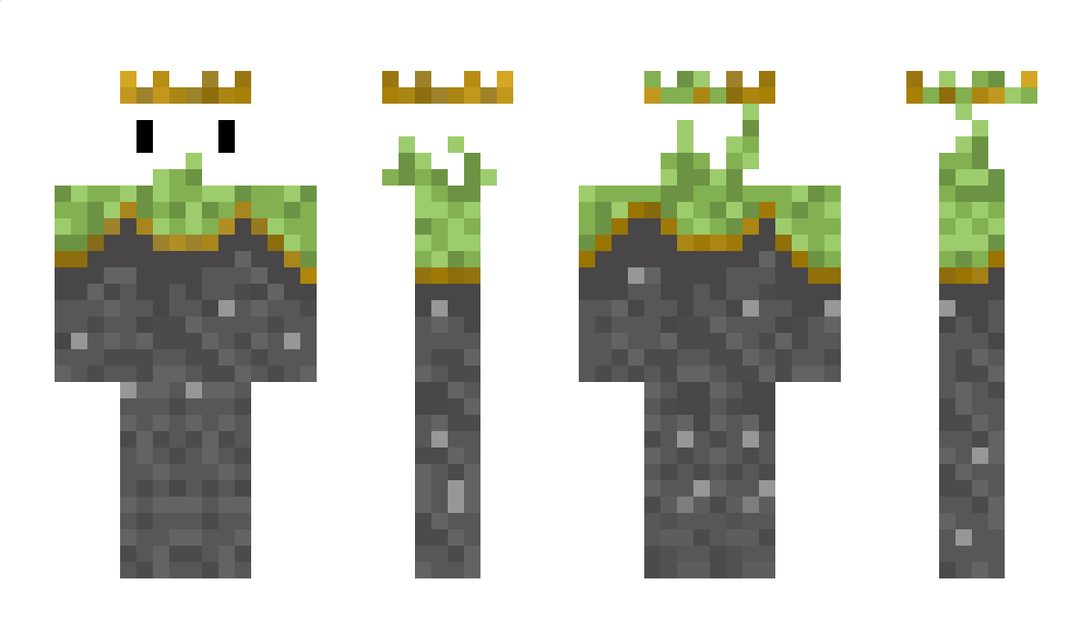 hiromeow Minecraft Skin