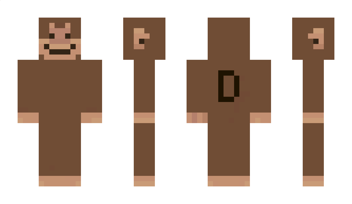 Zeldameister171 Minecraft Skin