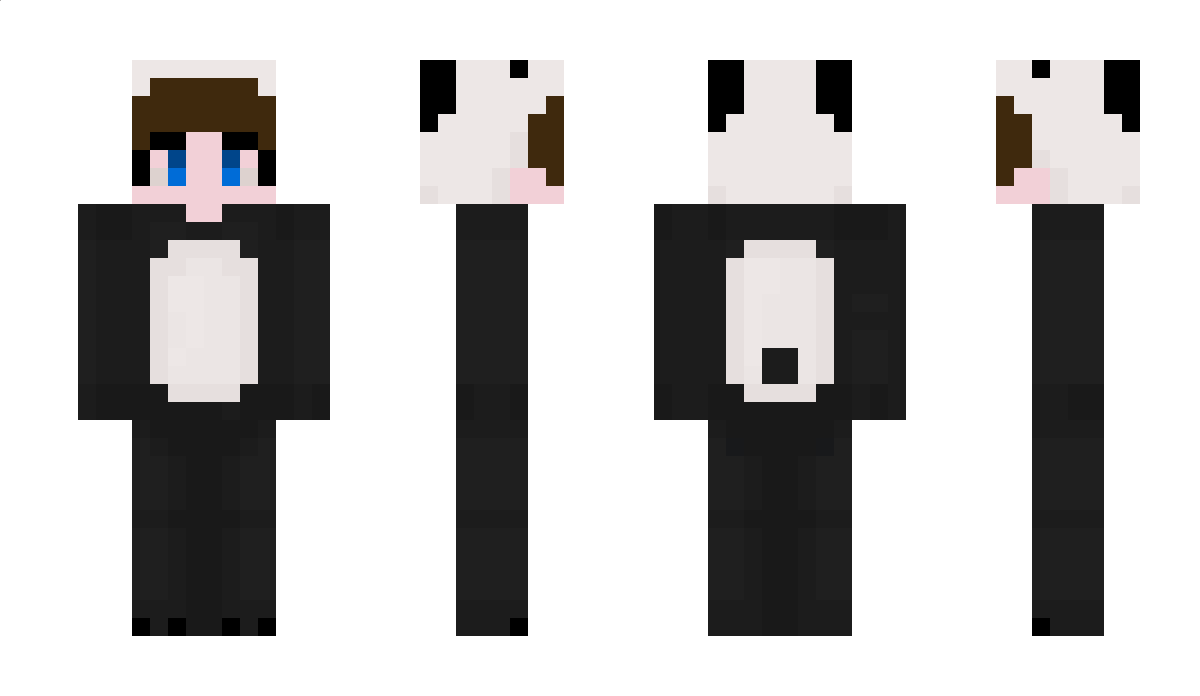 TheRealPanda Minecraft Skin