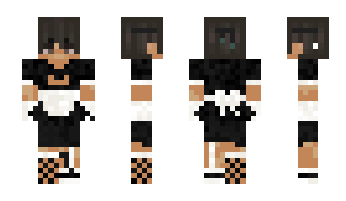 Ellytra Minecraft Skin