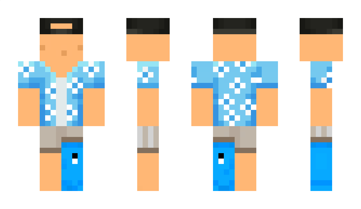 _dzajko_ Minecraft Skin