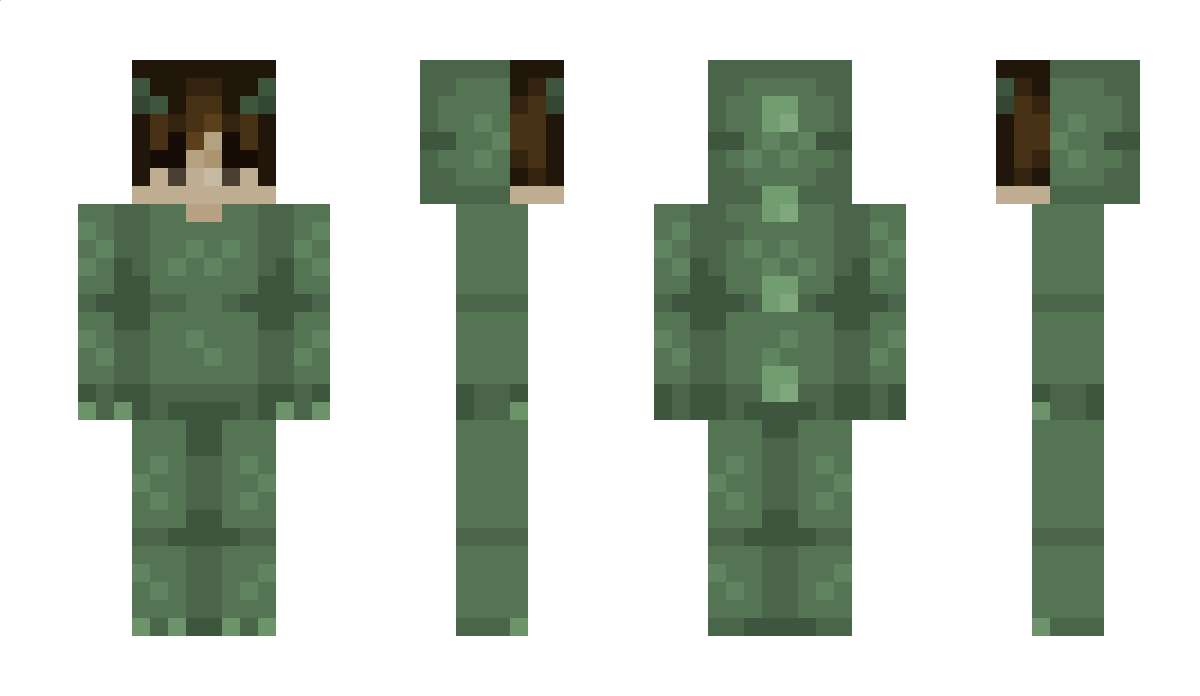 Verdqy Minecraft Skin