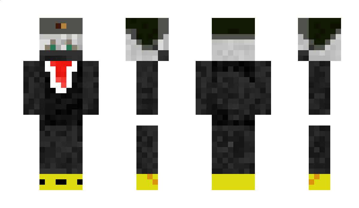 RobixTpl Minecraft Skin