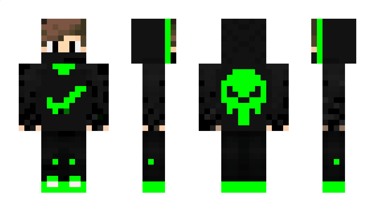 dani_progamer Minecraft Skin