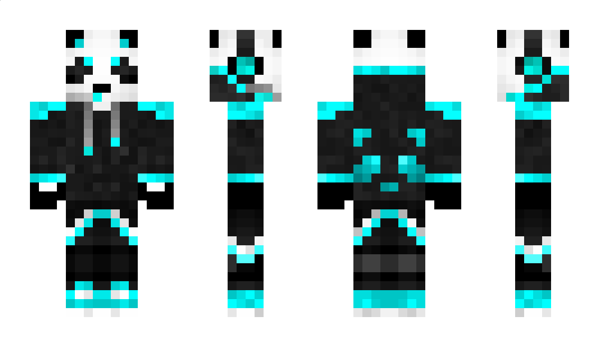 Hasvik Minecraft Skin