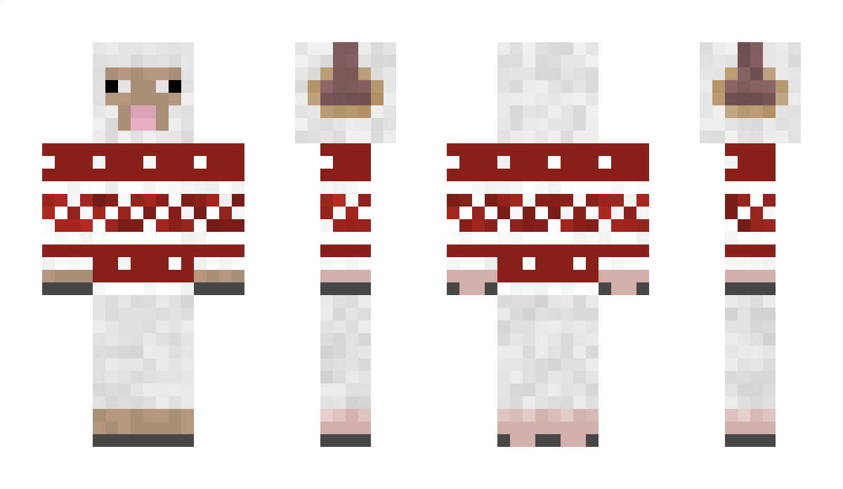 Jonas4249 Minecraft Skin