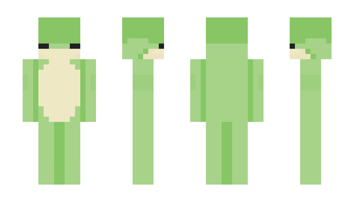 Aae Minecraft Skin