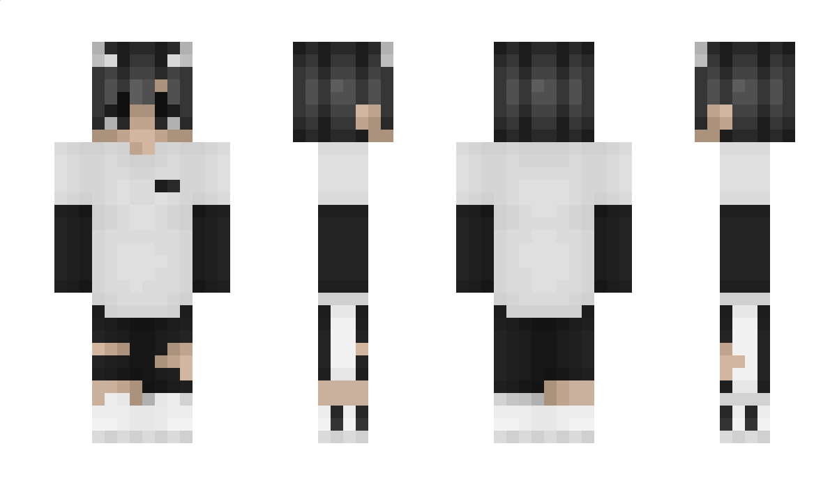 2b0 Minecraft Skin