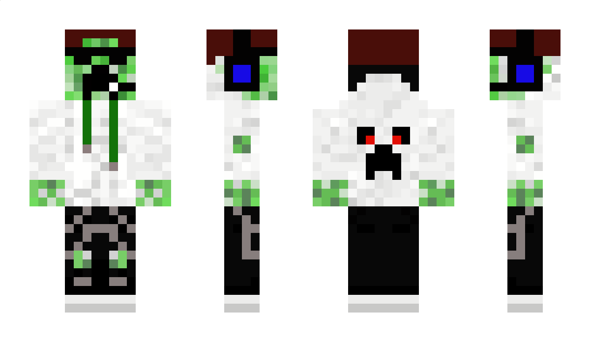 stiltsthecat Minecraft Skin