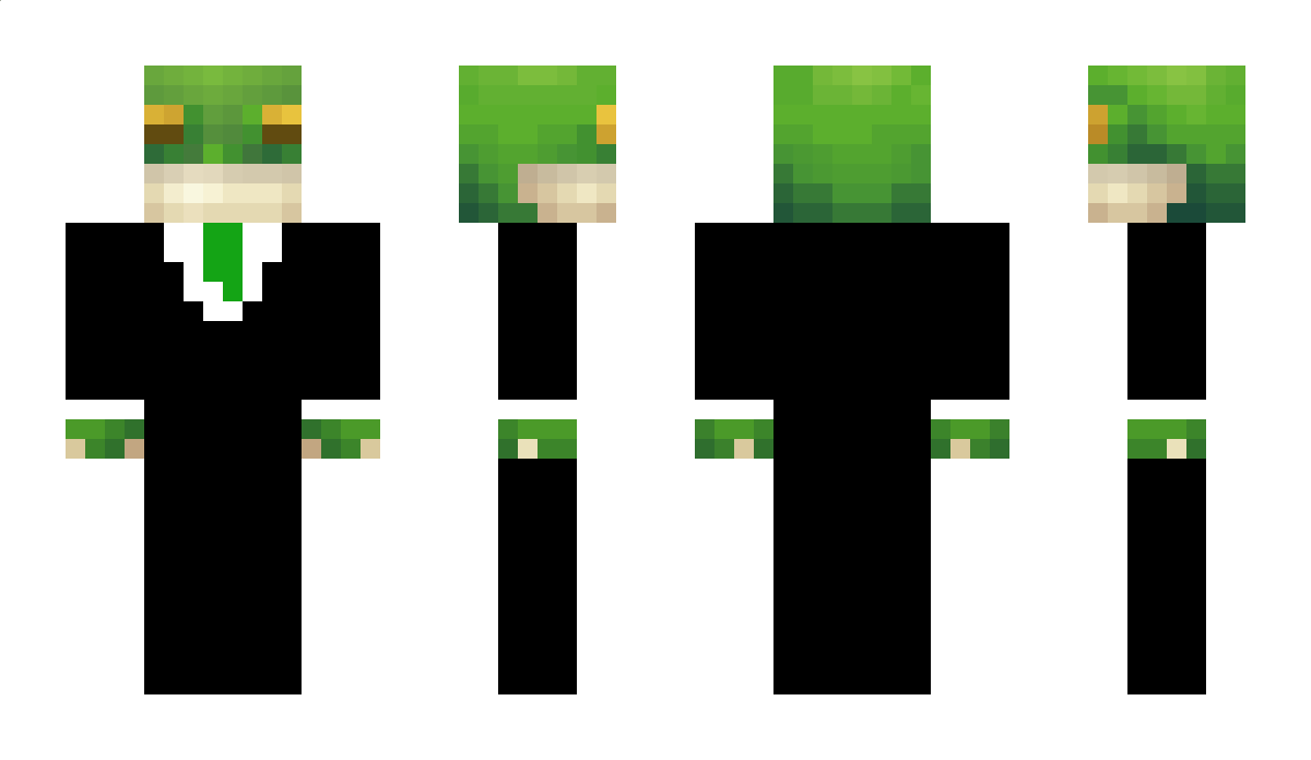 Ffrogg14 Minecraft Skin