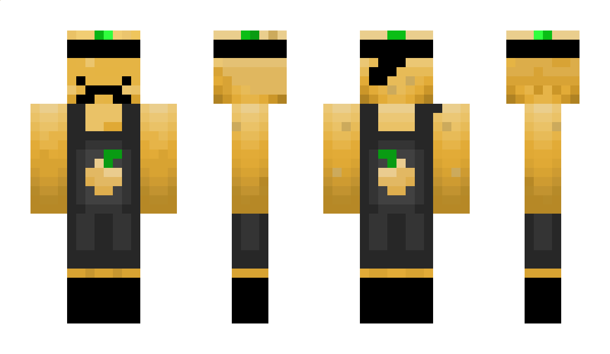 Herraperuna Minecraft Skin