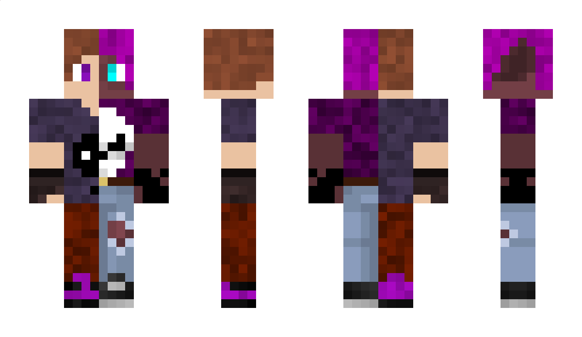 APRM Minecraft Skin