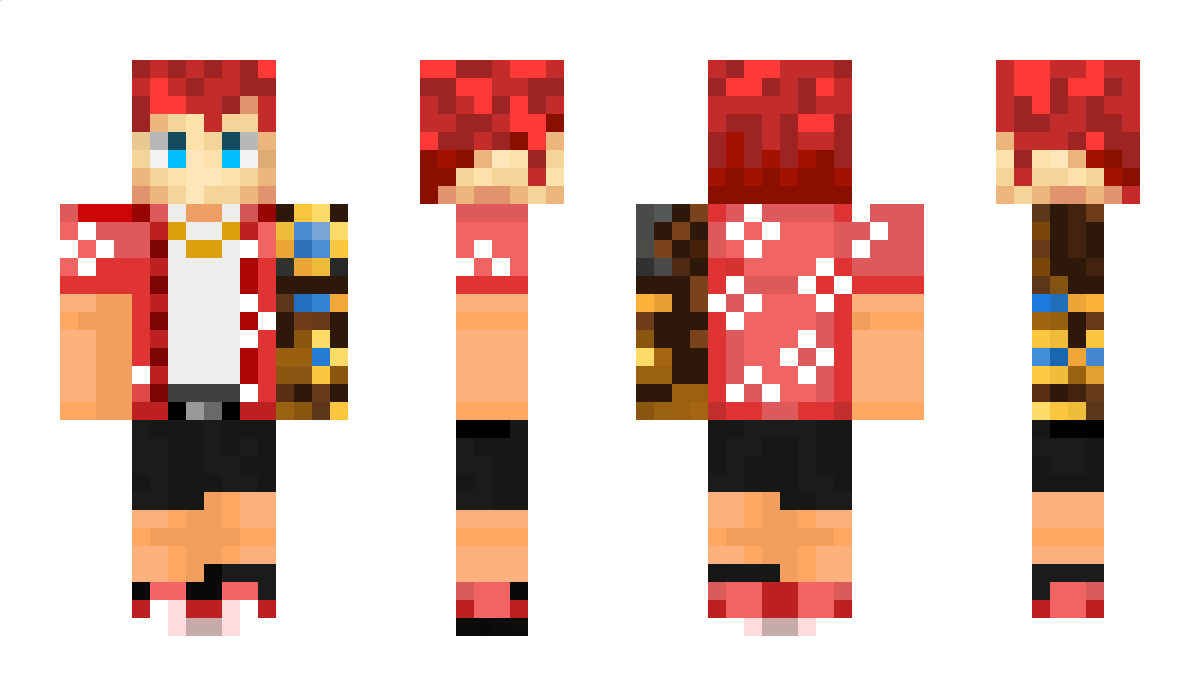 ErwanPendragon Minecraft Skin