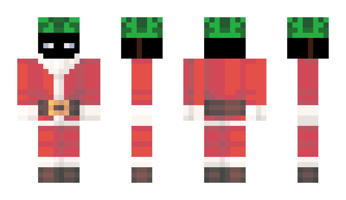 zolwikGG1 Minecraft Skin