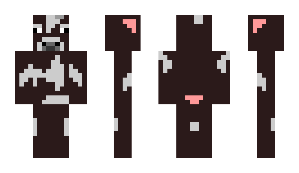 ZtephaN Minecraft Skin