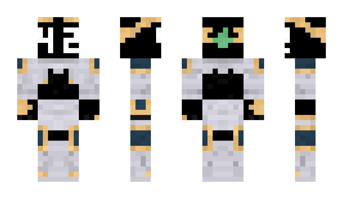 COPOK_BTOPOI Minecraft Skin