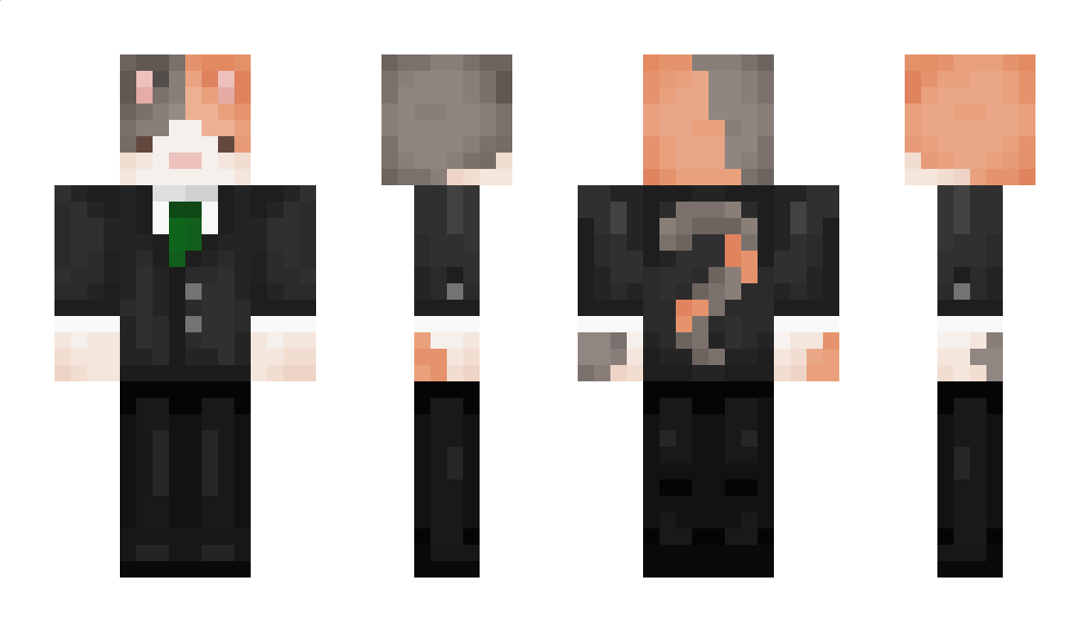 krijskat Minecraft Skin