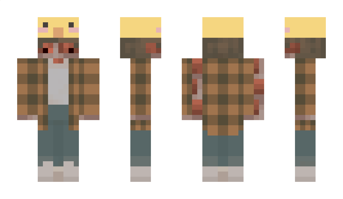 bricktogo Minecraft Skin