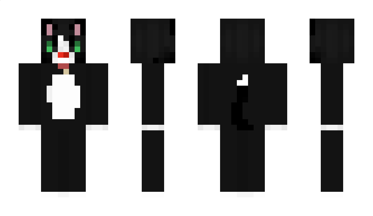 Nyaffin Minecraft Skin