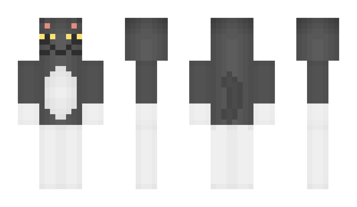 B1B1 Minecraft Skin