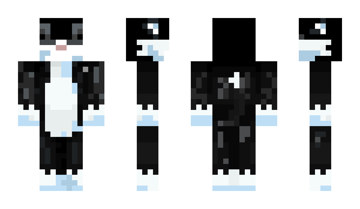 meow1234567 Minecraft Skin