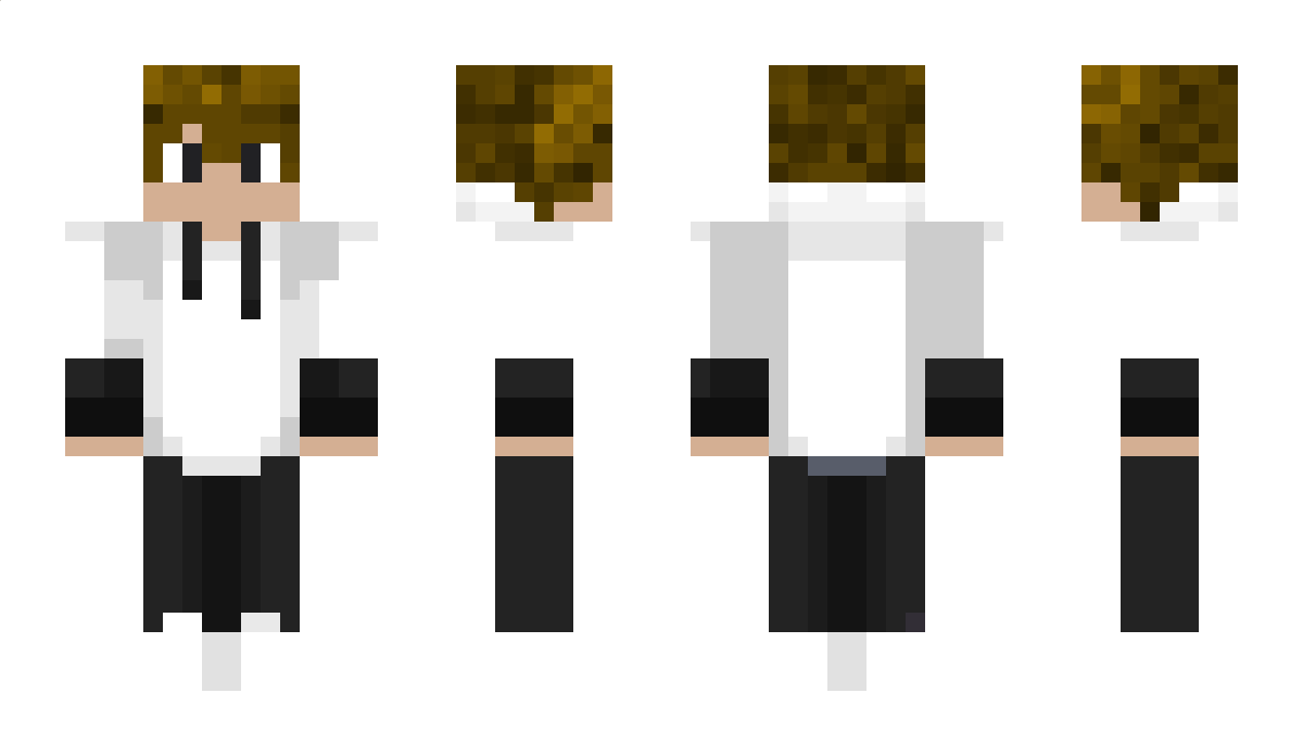 ArcticStorm_ Minecraft Skin