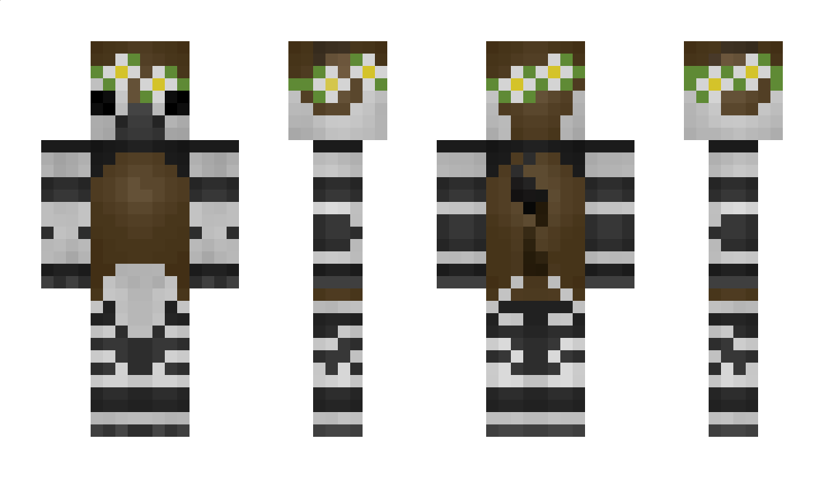 TexiFlex Minecraft Skin