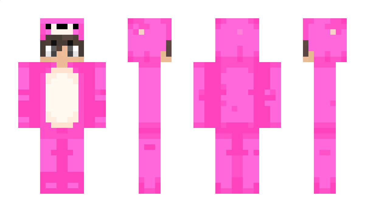 stormer_HD2004 Minecraft Skin