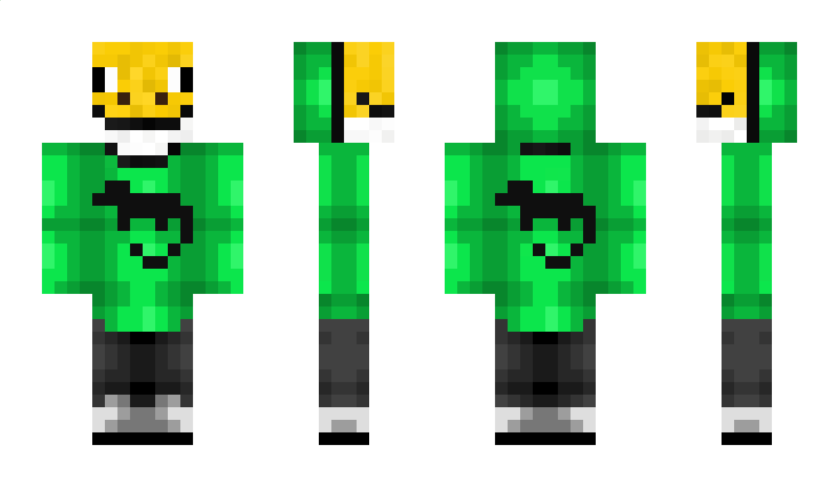 EchoGekko_ Minecraft Skin