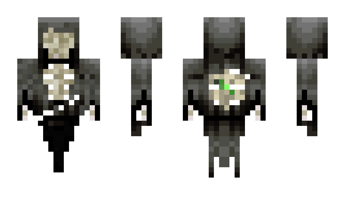 sw3d3n Minecraft Skin