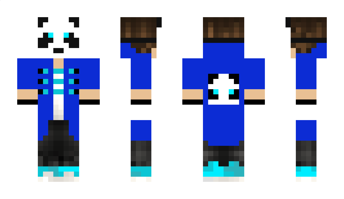 WinterPanda Minecraft Skin