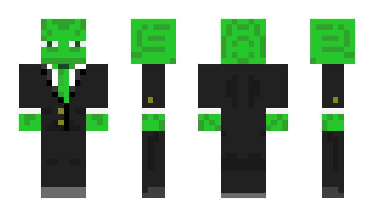 Noktuslon12 Minecraft Skin